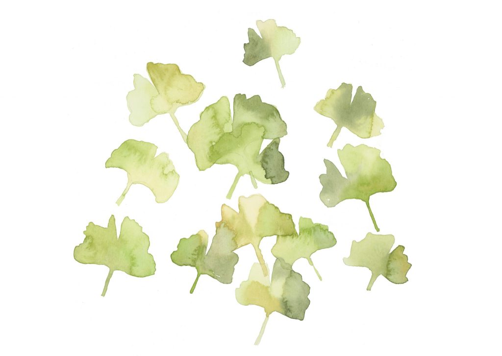 ginko3-ansichtkaart-print-cymk-right-color-profile-2048x1453